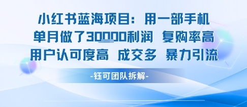 小红书蓝海项目单月3W利润小白轻松月入1W高成交-无双副业