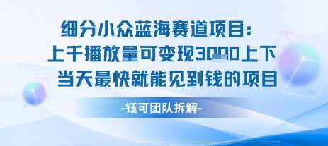小众蓝海赛道项目当天变现1k+适合新手长期操作-无双副业