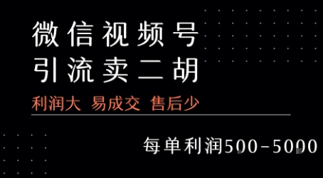 视频号销售二胡教程利润高易成交售后少-无双副业