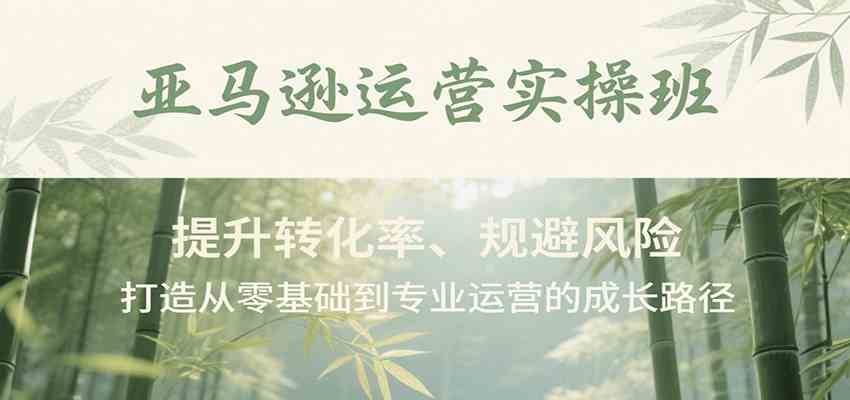 亚马逊运营实操班：提升转化率规避风险的专业成长路径-无双副业