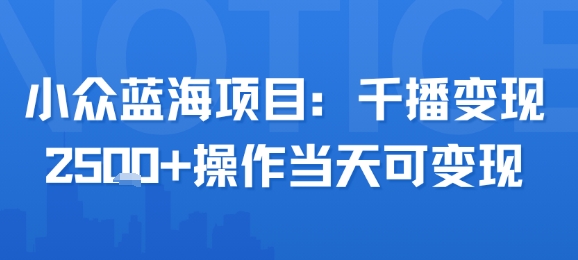 小众蓝海项目千播变现操作当天可变现-无双副业