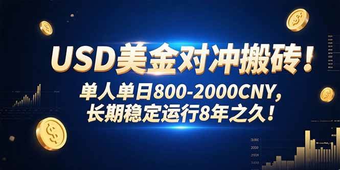 USD美金对冲搬砖单人单日800-2000CNY长期稳定运行-无双副业
