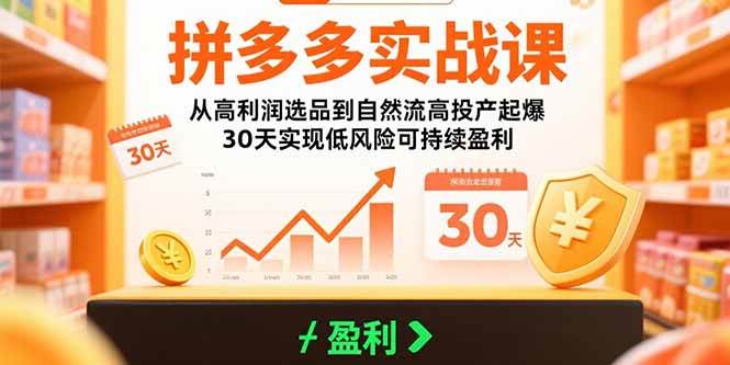 拼多多实战课：高利润选品与自然流高投产起爆30天盈利指南-无双副业