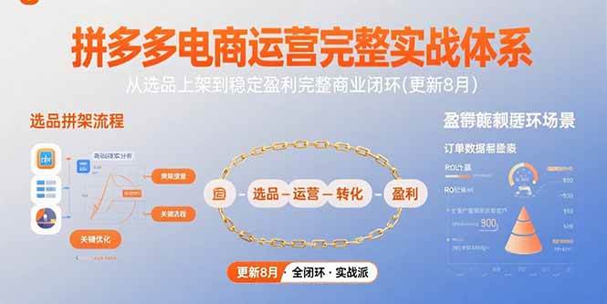 拼多多电商运营完整实战体系，从选品上架到稳定盈利完整商业闭环-无双副业