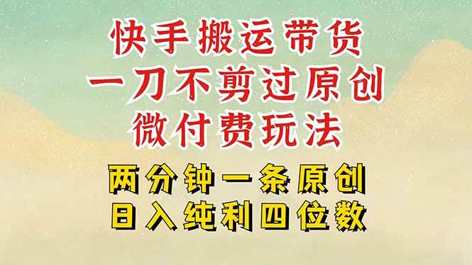 快手黑科技搬运带货技巧，微付费投流轻松日入四位数-无双副业