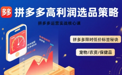 拼多多高利润选品实战技术与限时低价标签策略-无双副业