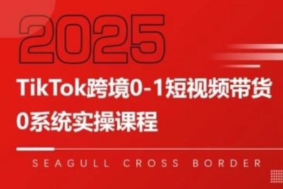 TikTok跨境短视频带货全链路拆解与可持续盈利指南-无双副业