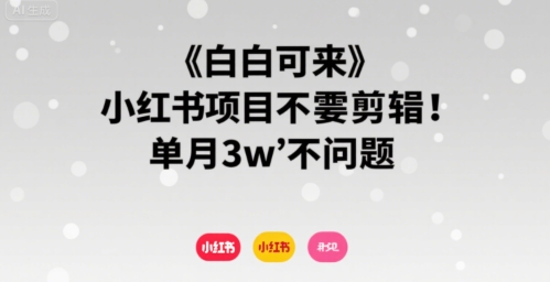 小白轻松上手的小红书树洞项目 单月收入可达3万-无双副业