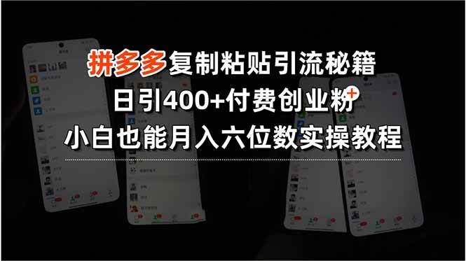 拼多多复制粘贴引流秘籍，日引400+付费创业粉小白月入六位数实操-无双副业