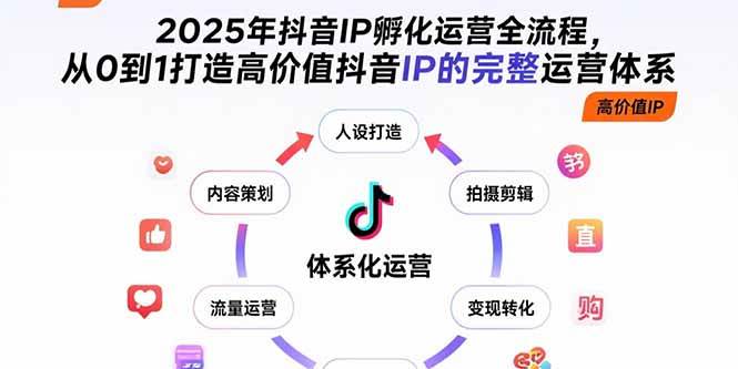 2025年抖音IP孵化运营全流程，从0到1打造高价值抖音IP体系-无双副业