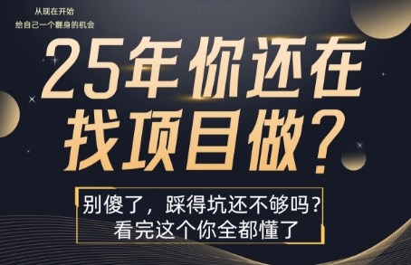 25年你还在疯狂找项目吗？揭秘赚钱核心逻辑-无双副业