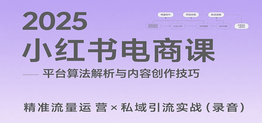 小红书电商课：解析算法与高转化内容创作，助力卖家流量变现-无双副业