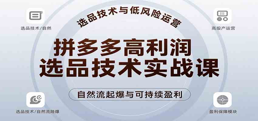 拼多多高利润选品技术实战课手把手教学自然流高投产起爆实现低风险可持续盈利-无双副业