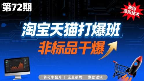 淘宝天猫非标品高阶运营技术实战课程-无双副业