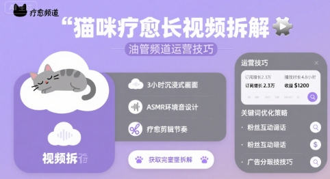 猫咪疗愈视频制作与YouTube频道运营技巧-无双副业