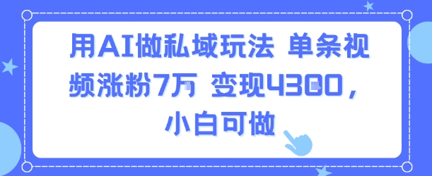 用AI做私域玩法单条视频涨粉7W变现4.3k小白可做-无双副业
