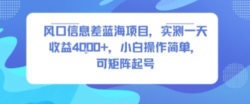 风口信息差蓝海项目实测日收益4k+小白可矩阵操作-无双副业