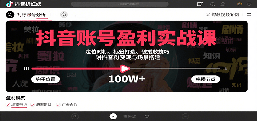 抖音账号盈利实战课：定位对标、标签打造与涨粉变现技巧-无双副业