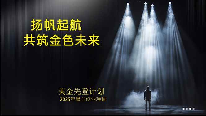 美金对冲创业项目，日收益1000-3000，稳定运行8年小众暴利-无双副业