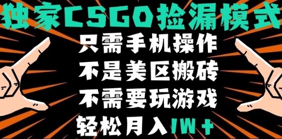 CSGO自动捡漏项目独家玩法，无需游戏经验新手轻松月入过万-无双副业