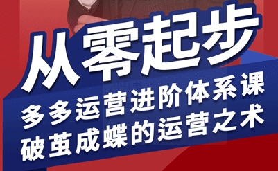 拼多多运营进阶系统课：从零起步掌握破茧成蝶运营术-无双副业