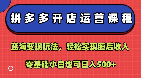 拼多多开店运营课程：蓝海变现玩法轻松实现睡后收入，零基础小白日入500-无双副业