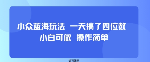 小众蓝海玩法 新手小白一天赚四位数-无双副业