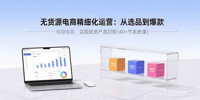 无货源电商精细化运营：从选品到爆款实现轻资产高回报-无双副业