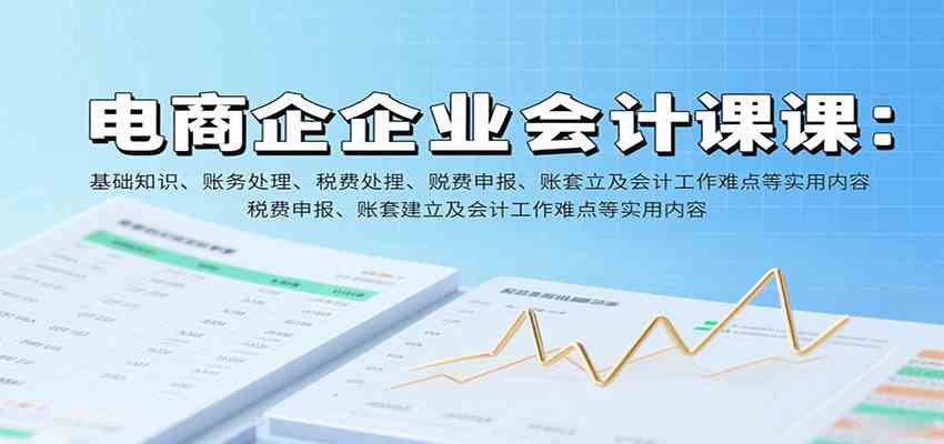 电商企业会计课：基础知识与实操全攻略-无双副业