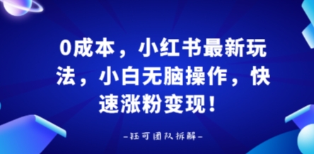 0成本小红书最新玩法小白快速涨粉变现-无双副业
