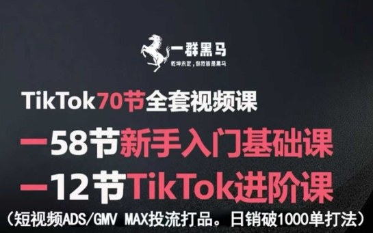 TikTok全套视频课，新手入门进阶课，短视频ADS-GMV MAX投流日销破千单-无双副业