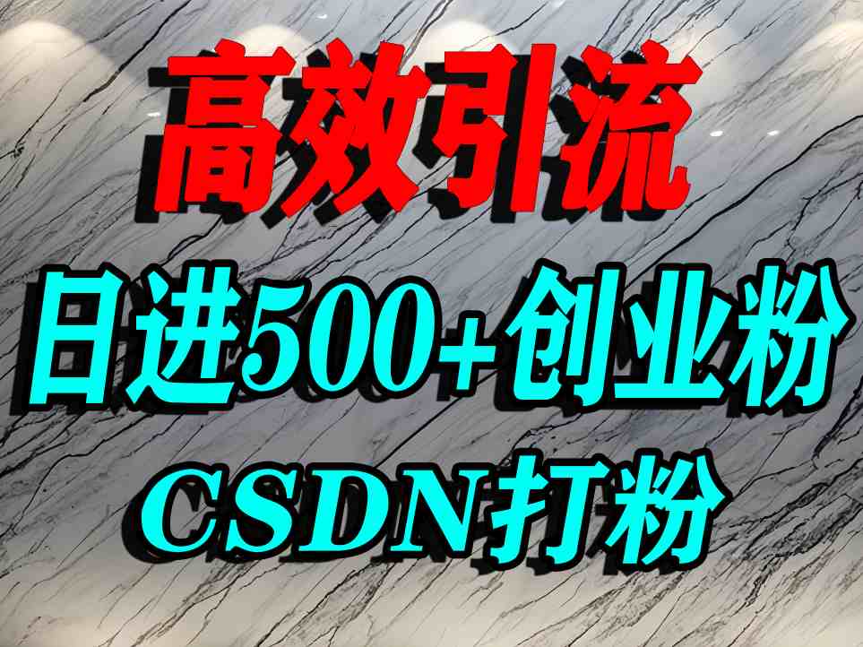 CSDN打创业粉引流神秘平台，单人日引500+精准流量-无双副业