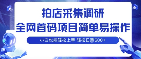 拍店采集调研项目揭秘，新手轻松上手日赚500元-无双副业