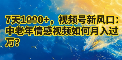 视频号新风口：中老年情感视频月入过万技巧-无双副业