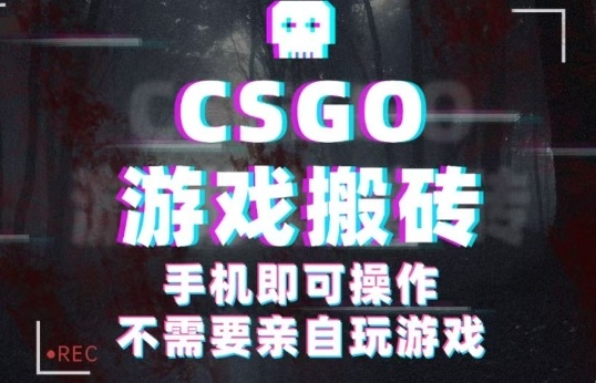 CSGO游戏挂G捡漏项目揭秘，手机操作轻松赚钱-无双副业