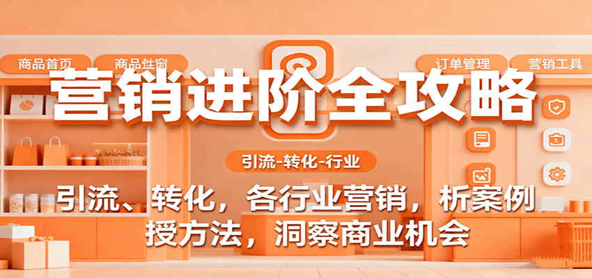 营销进阶全攻略：引流转化与商业洞察-无双副业