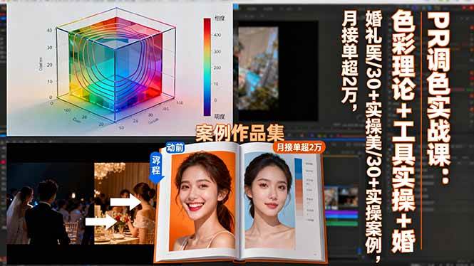 PR调色实战课：色彩理论+工具实操+30+案例-无双副业