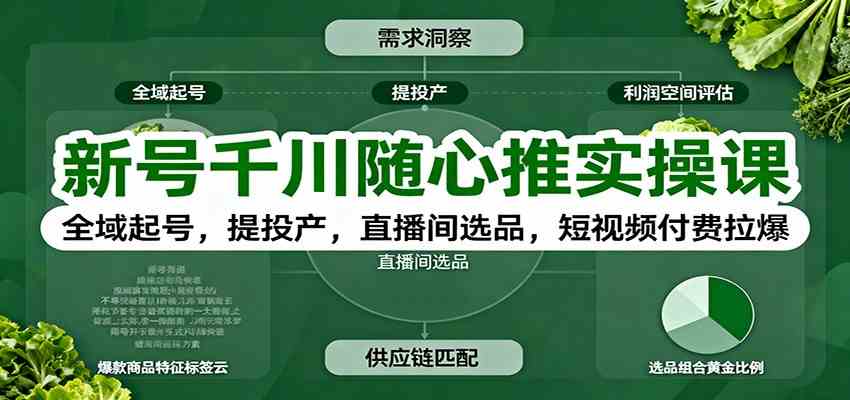 新号千川随心推实操课：全域起号提升投产与短视频付费策略-无双副业